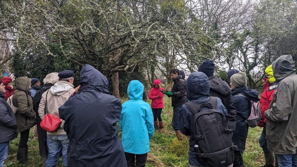 Agrandir l'image, fenêtre modale