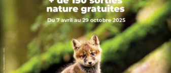 affiche Morbihan Grandeur Nature