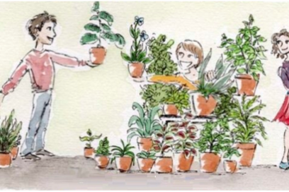 Agrandir l'image, fenêtre modale