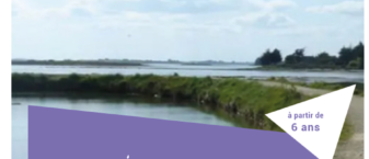 Affiche balade contée autour du golfe