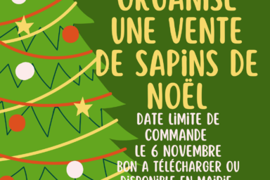 Saint Armel - arméloizirs vente de sapin