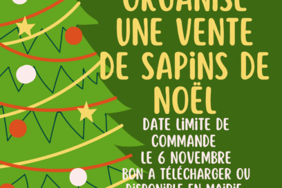 Saint Armel - arméloizirs vente de sapin - Agrandir l'image, fenêtre modale