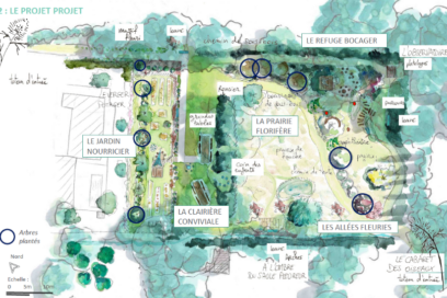 Agrandir l'image, fenêtre modale