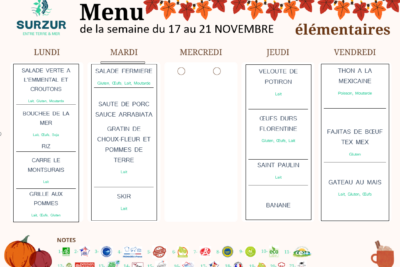 Agrandir l'image 3 sur 3, fenêtre modale