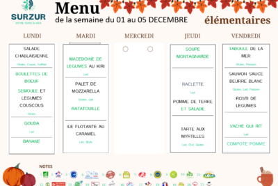 Agrandir l'image 1 sur 3, fenêtre modale