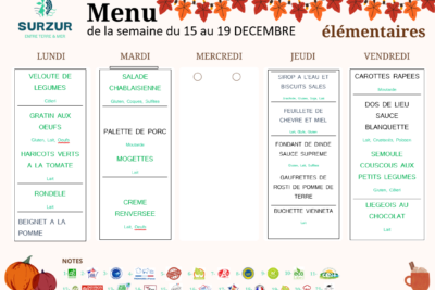 Agrandir l'image 3 sur 3, fenêtre modale