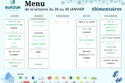 Agrandir l'image 1 sur 3, fenêtre modale