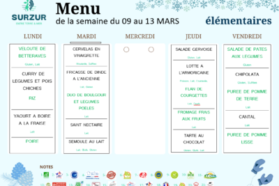Agrandir l'image 2 sur 3, fenêtre modale