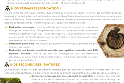 Agrandir l'image 2 sur 2, fenêtre modale