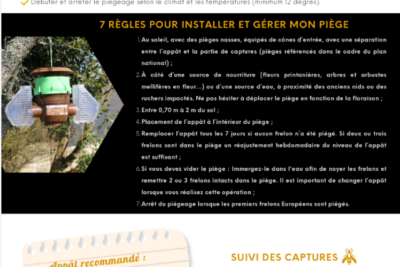 Agrandir l'image 1 sur 2, fenêtre modale